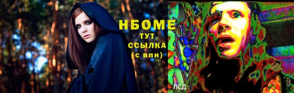 твердый Ельня